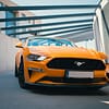 MustangGTcab_poziome (11 of 27)-min